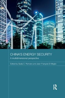 China's Energy Security