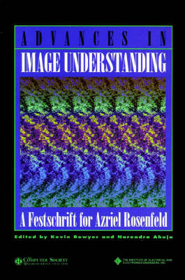 Advances in Image Understanding