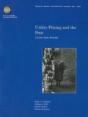 Utility Pricing and the Poor