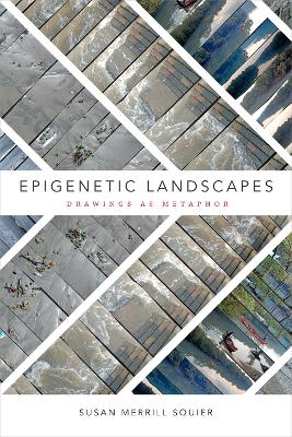 Epigenetic Landscapes