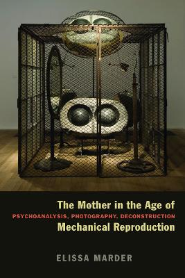 The Mother in the Age of Mechanical Reproduction