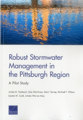 Robust Stormwater Management in the Pittsburgh Region