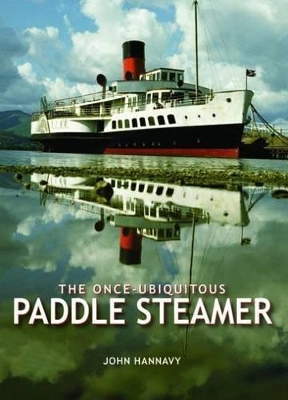 The Once-Ubiquitous Paddle Steamer