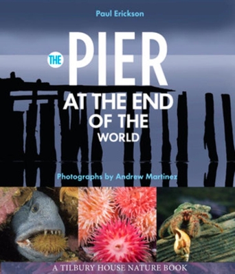 The Pier at the End of the World