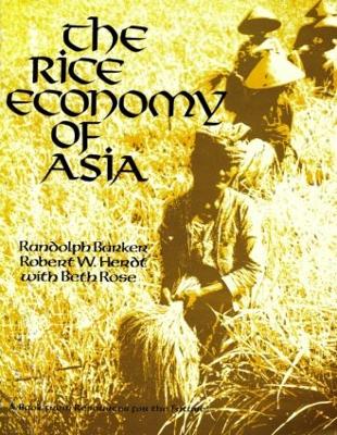 The Rice Economy of Asia