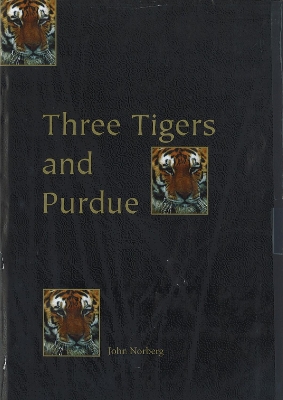 Three Tigers & Purdue