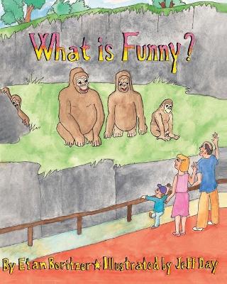 What is Funny?