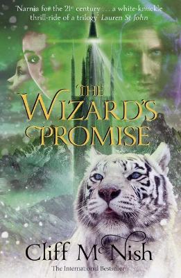 The Wizard's Promise