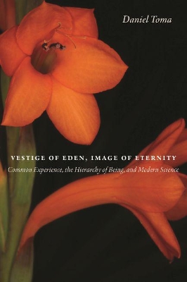 Vestige of Eden, Image of Eternity