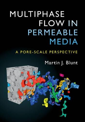 Multiphase Flow in Permeable Media