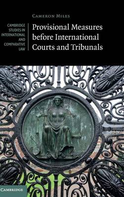 Provisional Measures before International Courts and Tribunals