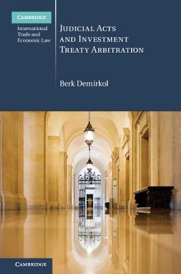 Judicial Acts and Investment Treaty Arbitration