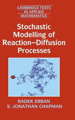 Stochastic Modelling of Reaction–Diffusion Processes