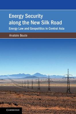 Energy Security along the New Silk Road