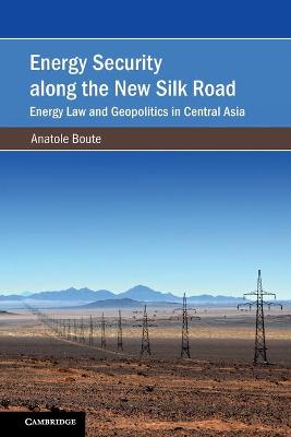 Energy Security along the New Silk Road