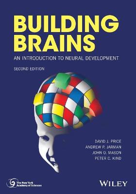 Building Brains