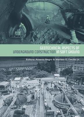 Geotechnical Aspects of Underground Construction in Soft Ground Proceedings of the 9th International Symposium on Geotechnical Aspects of Underground Construction in Soft Grounds (IS-São Paulo 2017), 