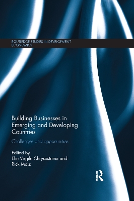 Building Businesses in Emerging and Developing Countries