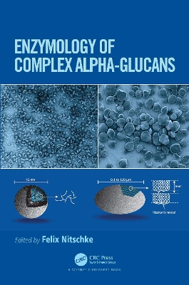 Enzymology of Complex Alpha-Glucans