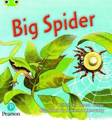 Bug Club Phonics - Phase 5 Unit 27: Big Spider