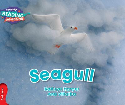 Seagull