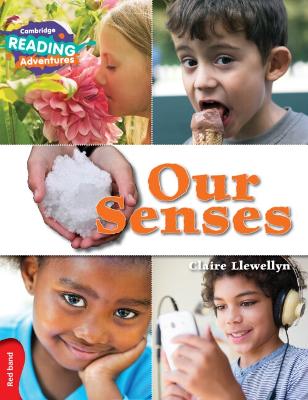 Our Senses