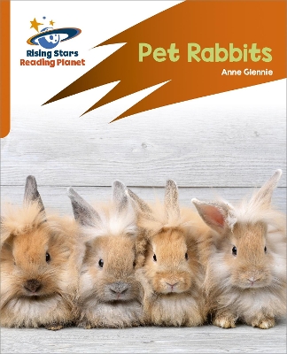 Pet Rabbits