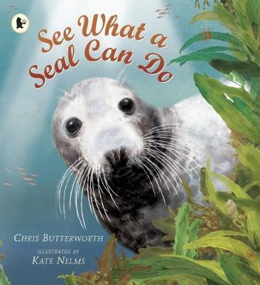 See What a Seal Can Do