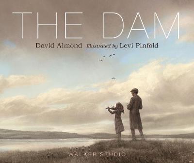 Cover for The Dam by David Almond