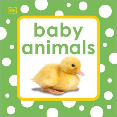 Baby Animals