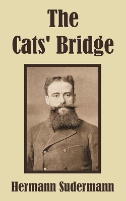 The Cats' Bridge