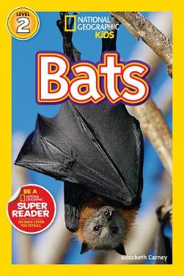 Bats