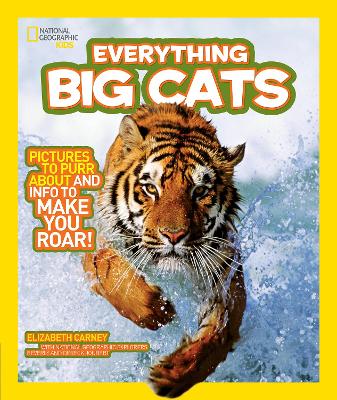 Everything Big Cats