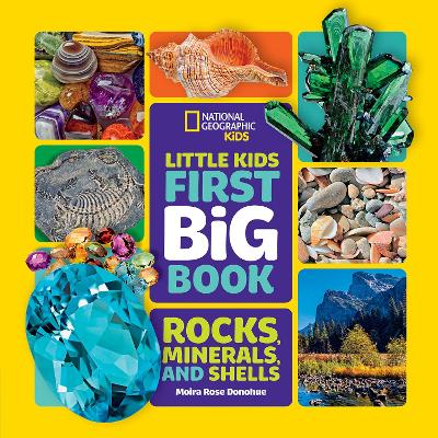 Little Kids First Big Book