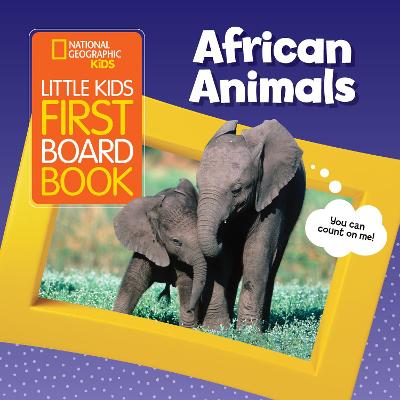 Little Kids First Board Book African Animals