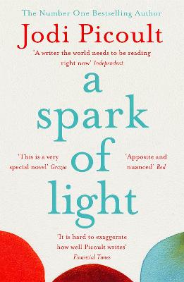 A Spark of Light from the author everyone should be reading