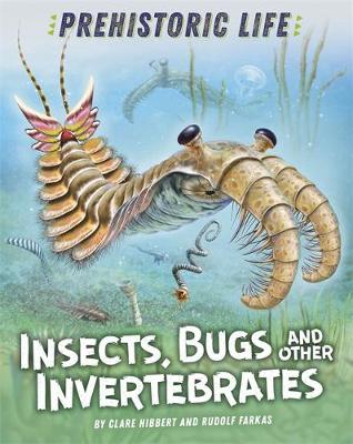 Insects, Bugs and Other Invertebrates