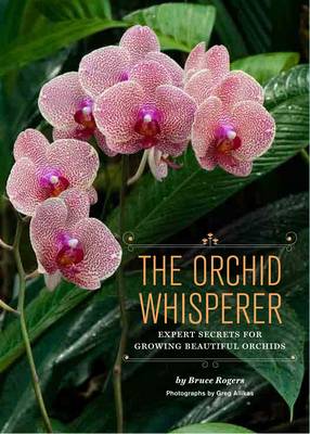 Orchid Whisperer