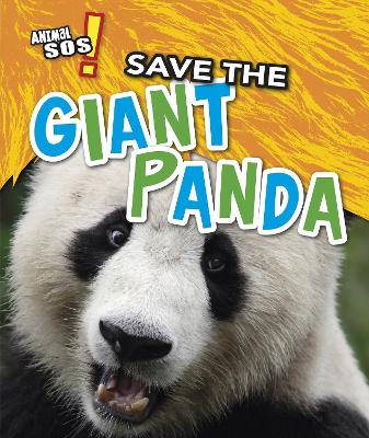 Save the Giant Panda