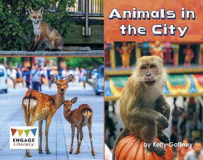 Animals in the City