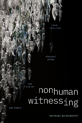 Nonhuman Witnessing