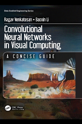 Convolutional Neural Networks in Visual Computing