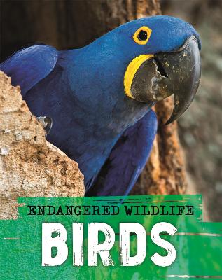 Endangered Wildlife: Rescuing Birds