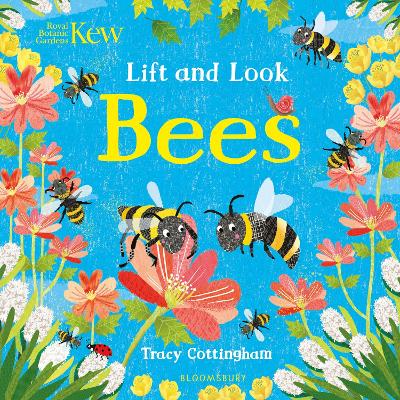 Kew: Lift and Look Bees