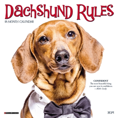 Dachshund Rules 2024 7 X 7 Mini Wall Calendar