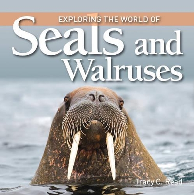 Exploring the World of Seals and Walruses