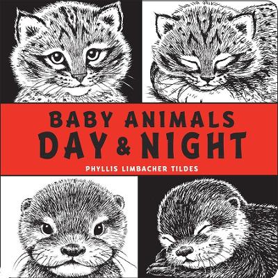 Baby Animals Day & Night