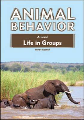 Animal Life in Groups