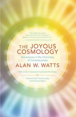 The Joyous Cosmology