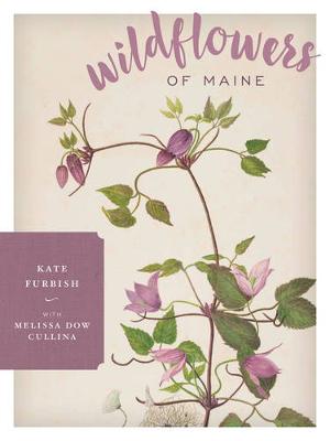 Wildflowers of Maine